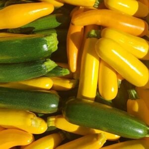Summer Squash Plant (Green and Yellow)